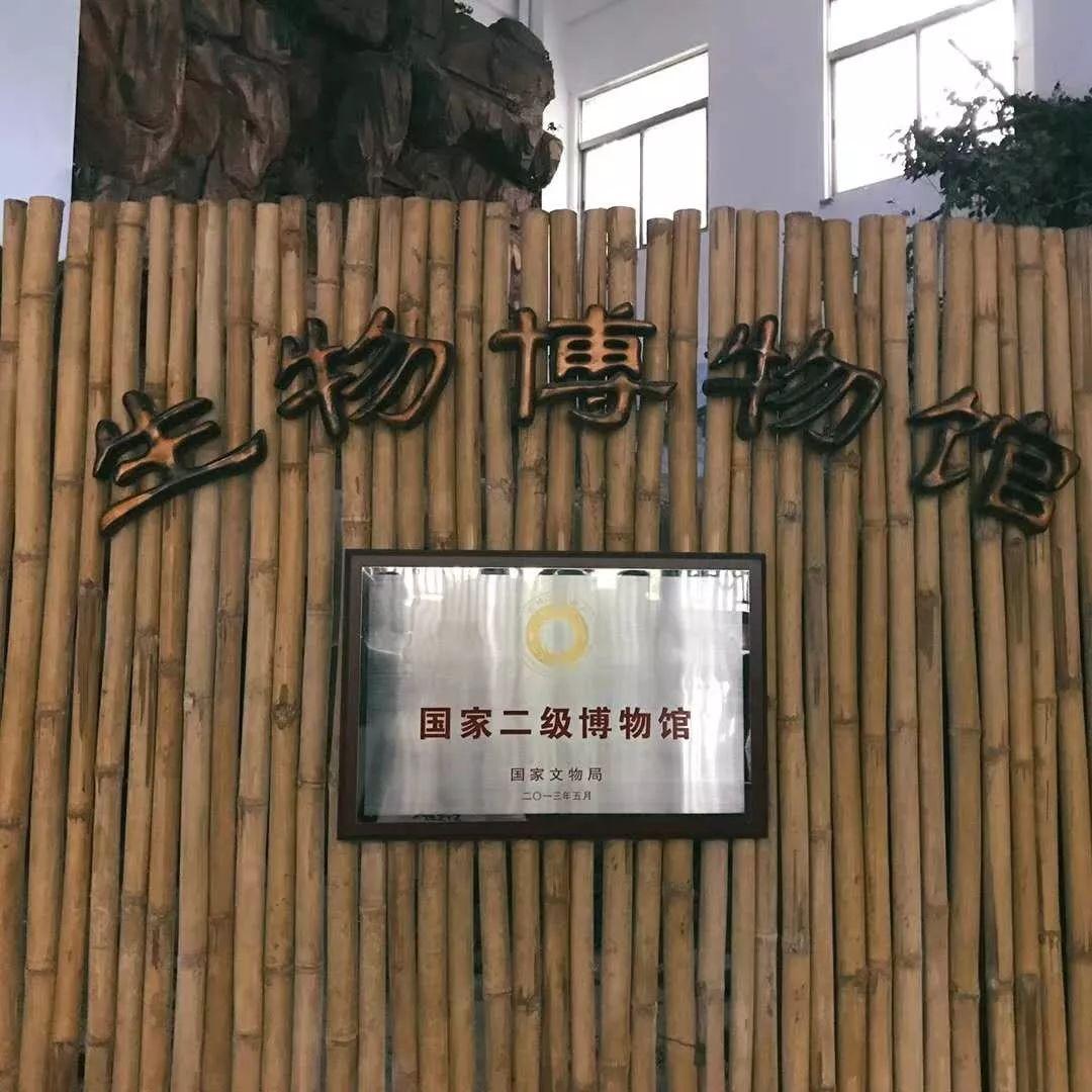 广东省博物馆建筑设计，现代与传统的融合典范